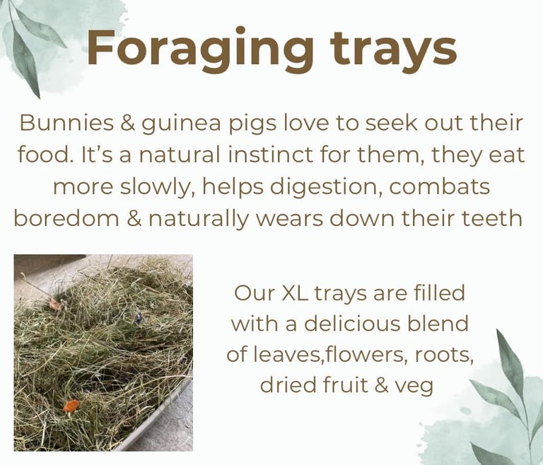 foraging trays