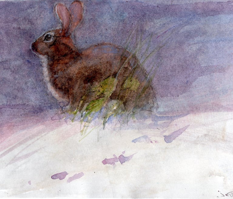 Winter Bunny rabbit sitting on a snowy hill