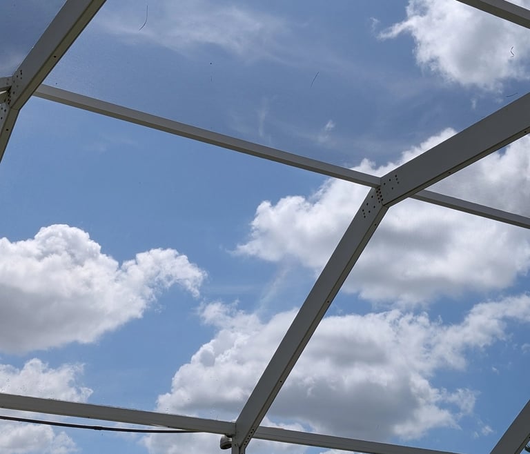 After Pool Cage Cleaning in Trinity Fl #3