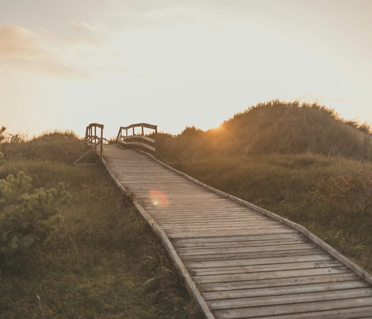 A bridge or walkway in nature signifying a journey