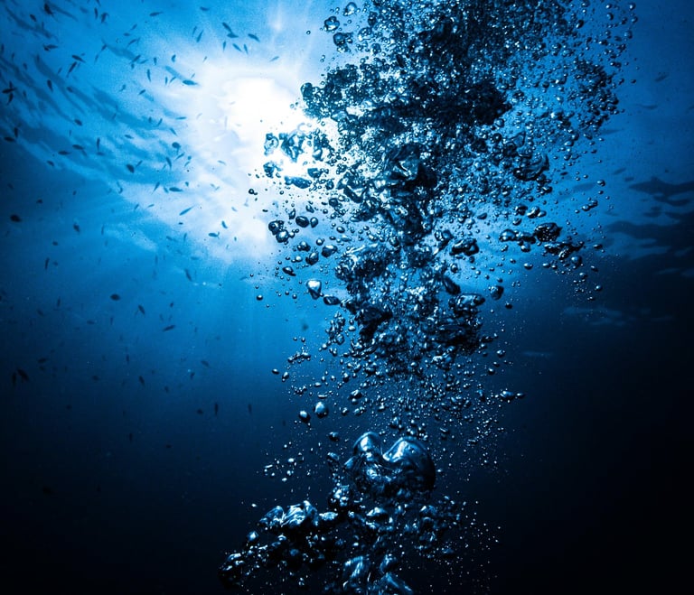 Immerse Yourself