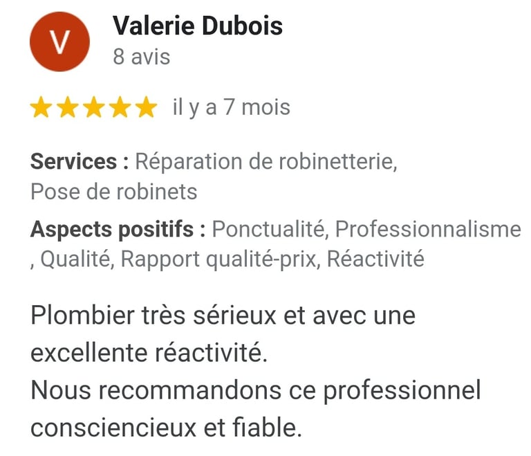 google avis positif professionnel serieux bati fl eau