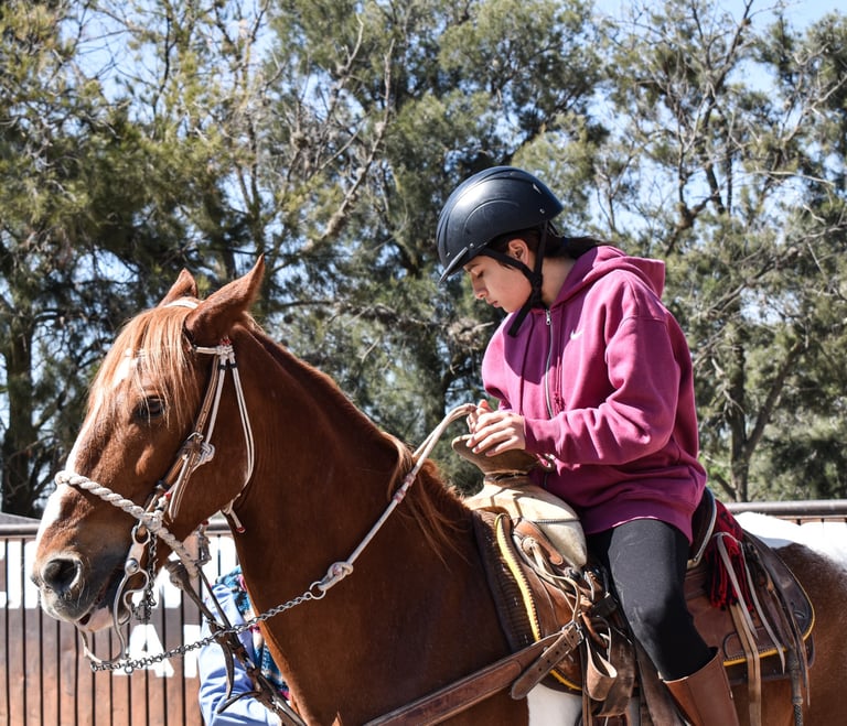 a woman riding a horse in a fenced in area