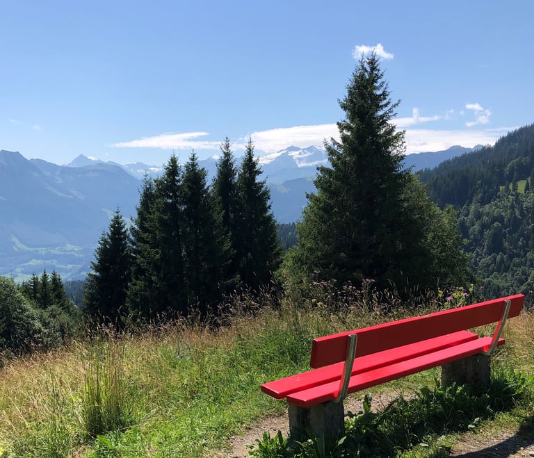 Psichologinė konsultacija