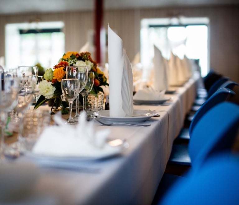 Przemysłowa myjka parowa EV Poseidon podczas sterylizacji sali bankietowej i pokoi w hotelu bez użycia chemii.