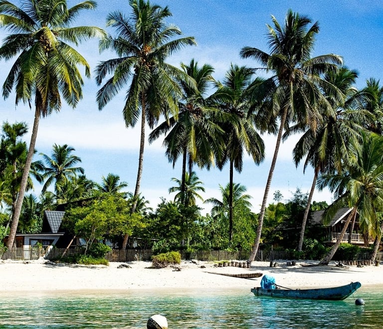 a boat in the water near a beach
