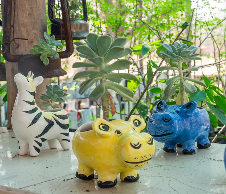 Small brightly coloured animal pots for minature succulents