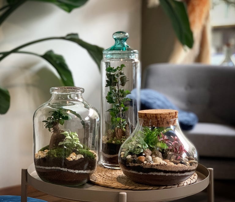 une table avec un bocal de plantes en verre 