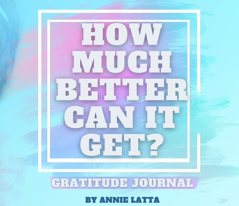 transformational 45 day gratitude journal 