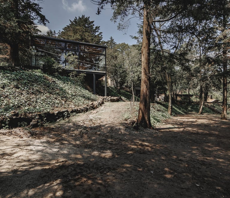 Terraza para eventos woodscape