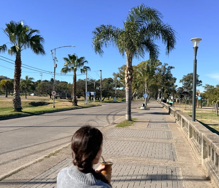 Costanera de Victoria
