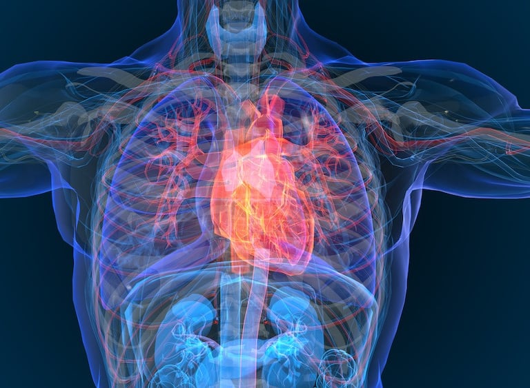 Electrophysiology at Bone Care One Day Surgery Center in Abu Dhabi