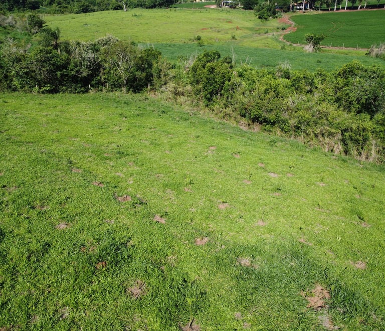 regularização ambiental