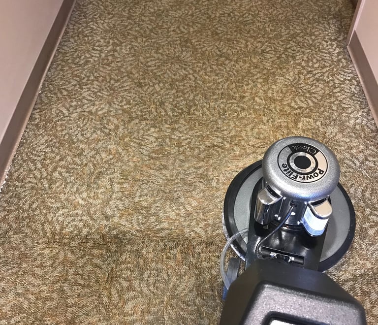 "Business carpet cleaning in Ormond Beach, FL by TEC Floor Services."