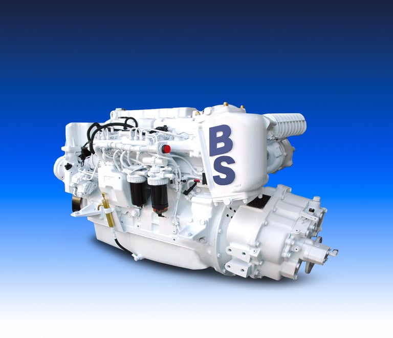 Motore Marino del marchio Boni Motori Marini modello 74 CTIM