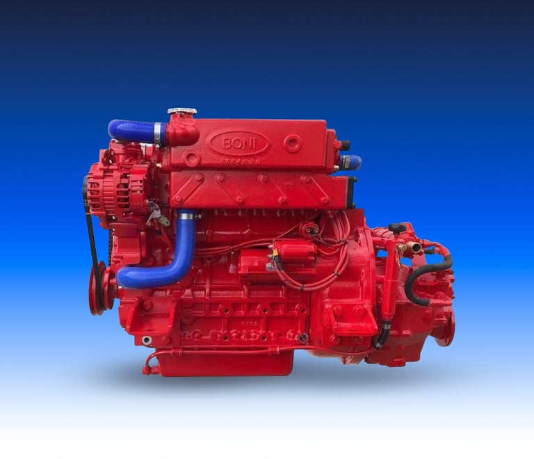 Motore marino rosso del marchio Boni Motori Marini modello 4.2435 aspirato