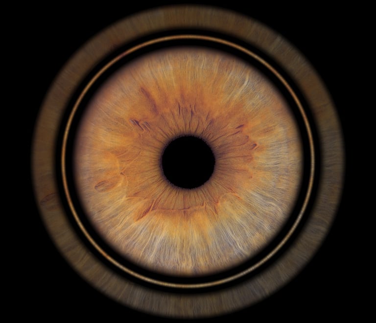 photo pupille bordeaux