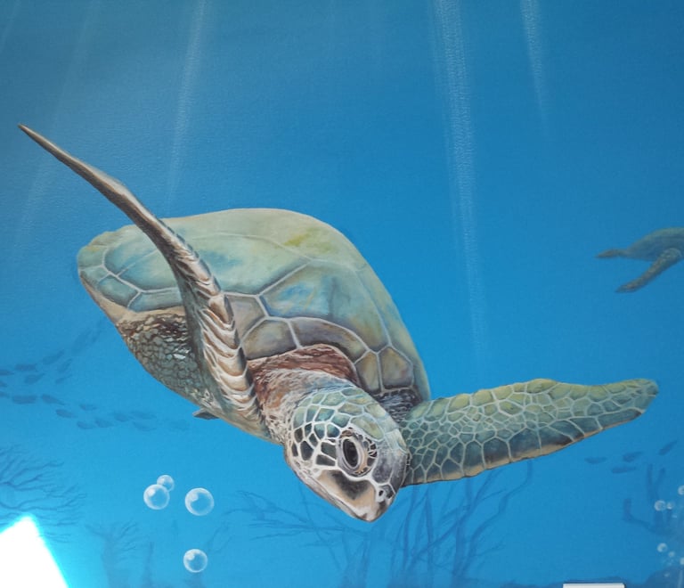 Détail d'une fresque de chambre d'enfant: une tortue de mer nage dans les fonds marins. Orgelet, 39.