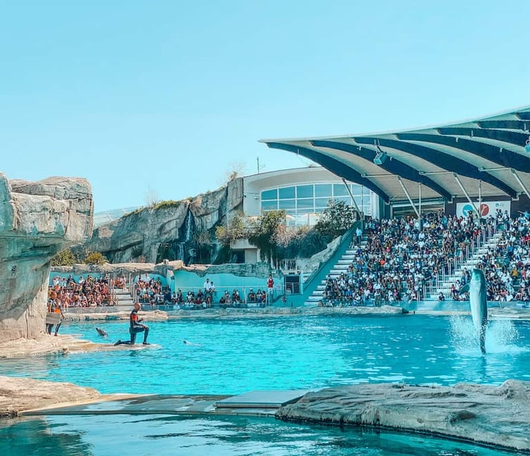Piscina centrale con i delfini, riccione