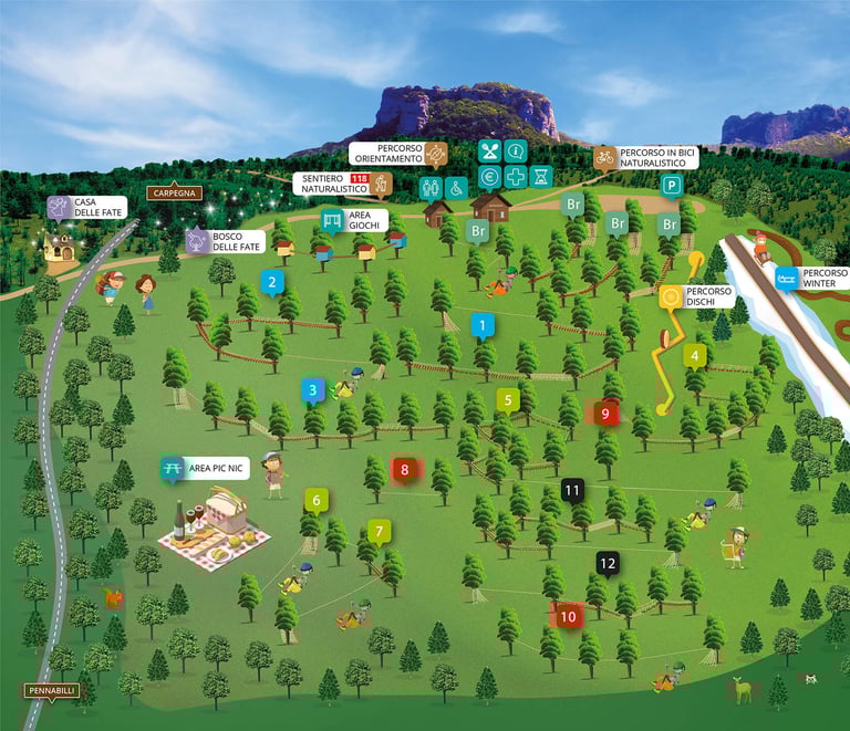 percorsi Carpegna Park, Carpegna, giochi nel bosco