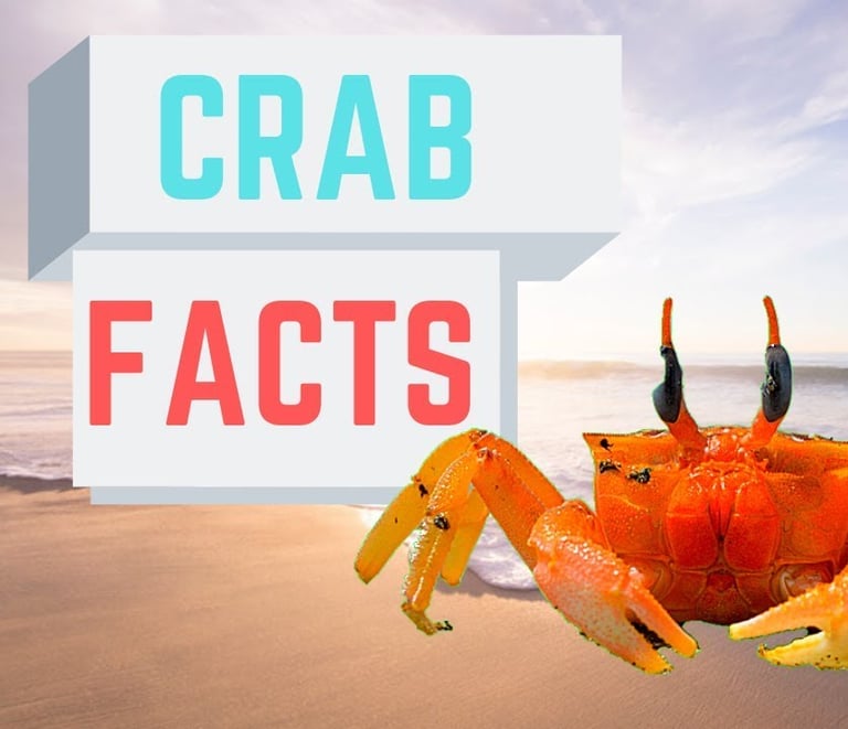 crabs