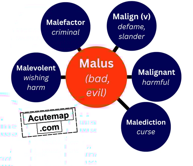 Malus root word SSC UPSC