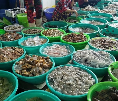 seafood supplier