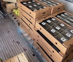 a truck with boxes of boxes of boxes of boxes