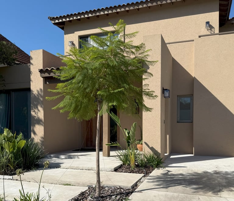 a house with a tree in the front yard