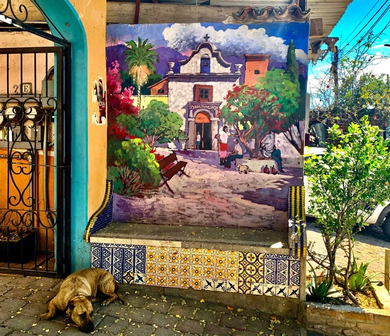 Wander around Ajijic