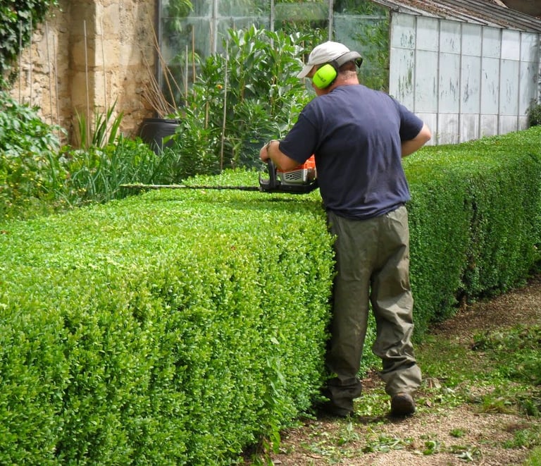 Taillage de haie