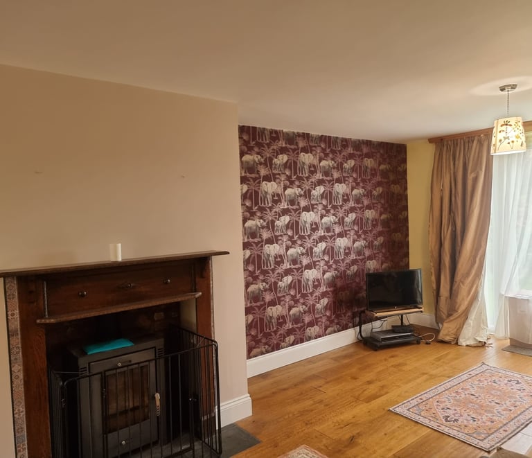 A living room with a fireplace, fresh cream walls, and a red feature wall with elephant motif.