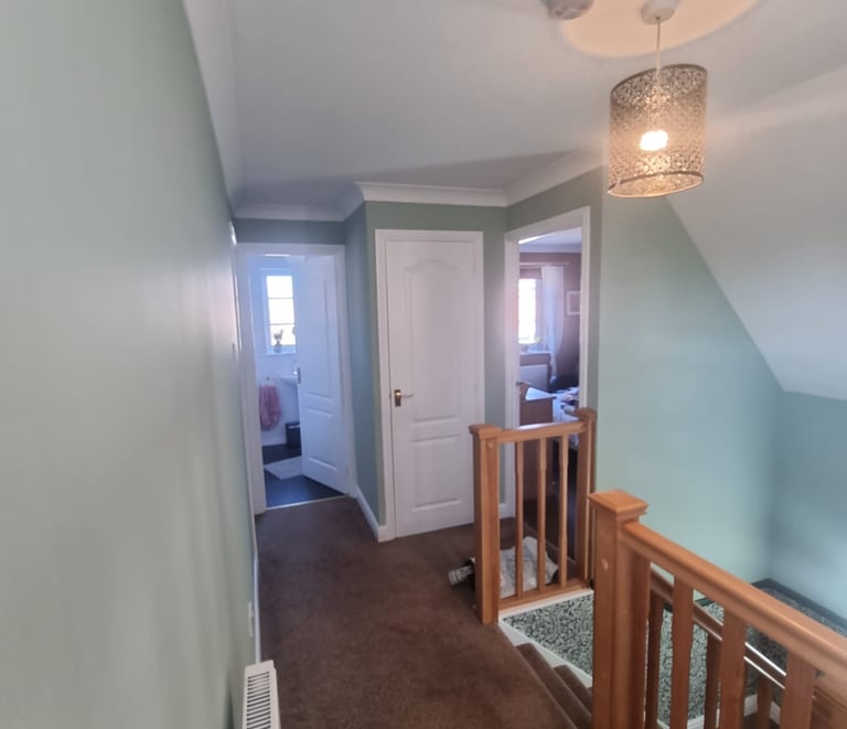 Freshly painted hallway and staircase walls in a mint colour, with 3 painted-white doors.