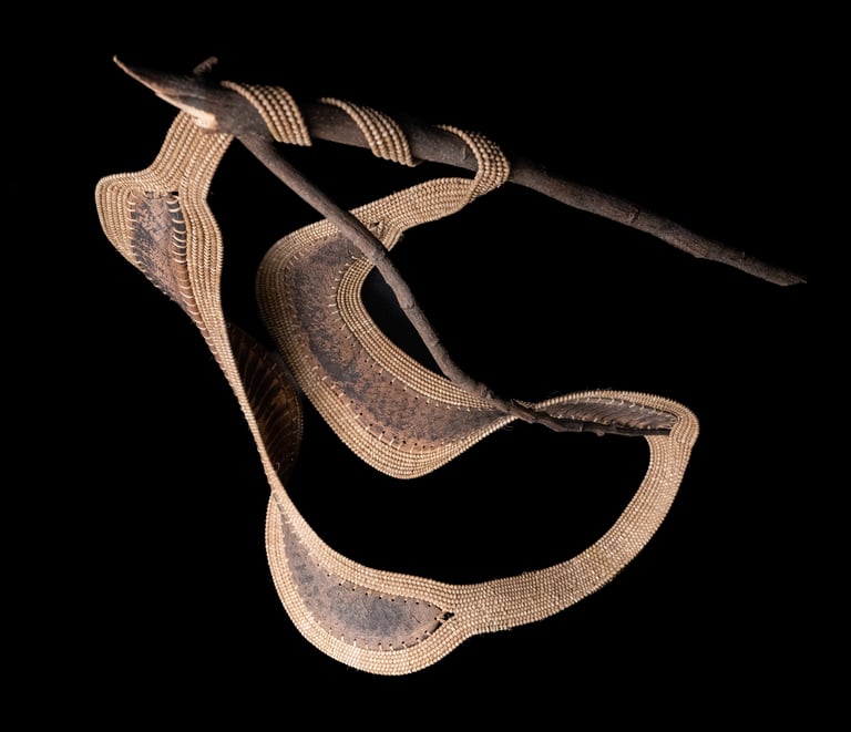 A Little Life, 2025, cane, reed, framboyan branch and pods