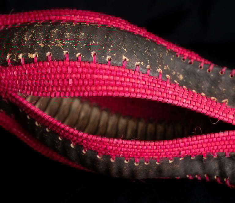 Appendectomy, 2025, cane, reed, framboyan pods