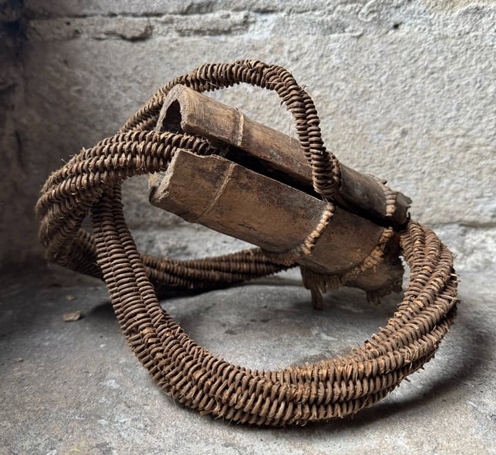 Covenant of Water II, 2025, reed, found bamboo with rhizomes