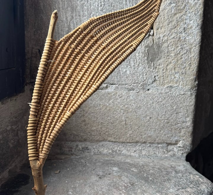 Covenant of Water IV, 2025, cane reed, plane tree branch