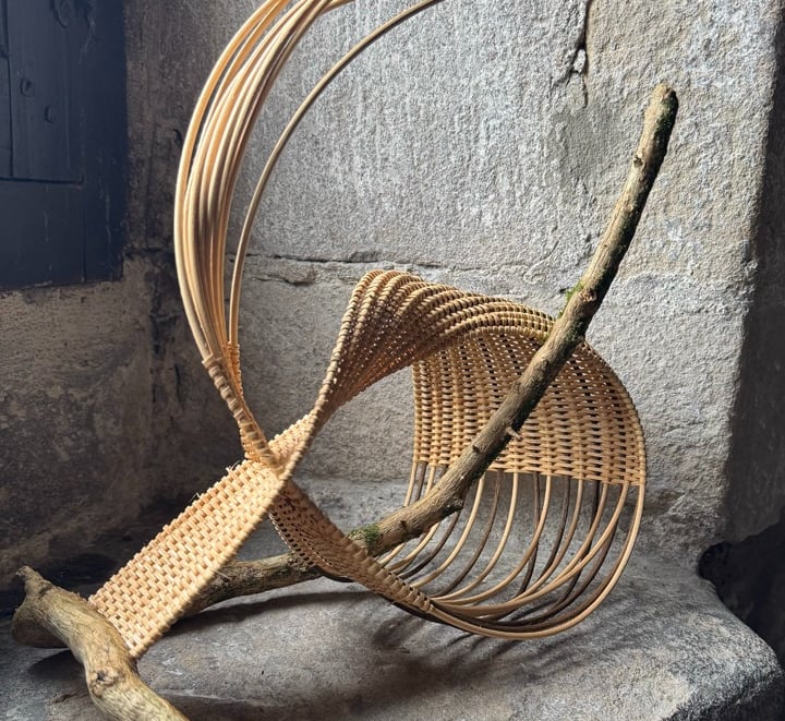 Covenant of Water III, 2025, cane, reed, plane tree branch