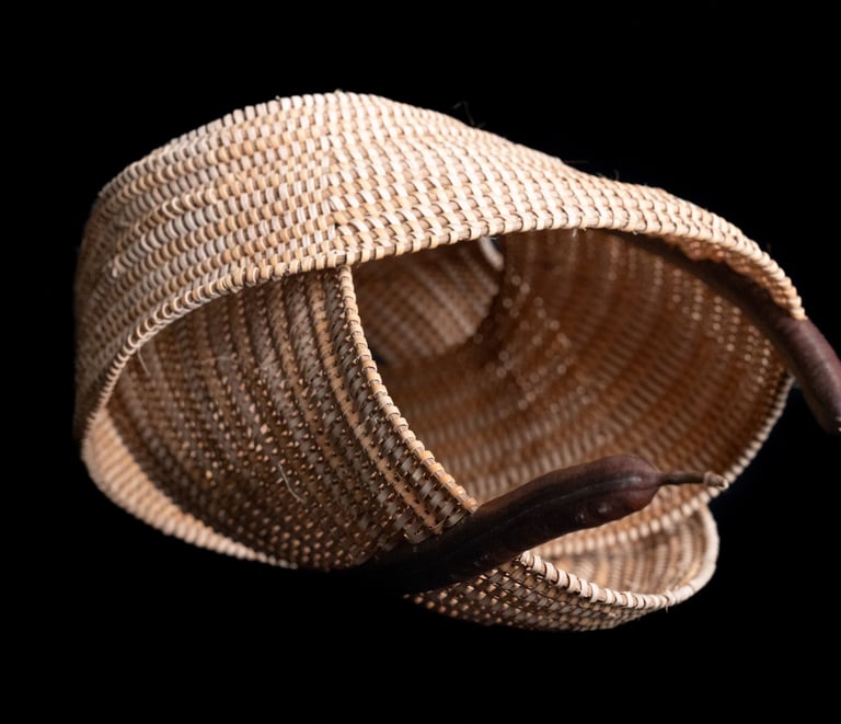 Cutting For Stone, 2025, cane, reed, lluvia de oro pods