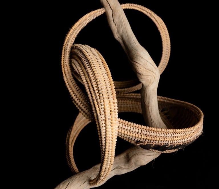 The Nix, 2024, cane, reed, driftwood, framboyan pods