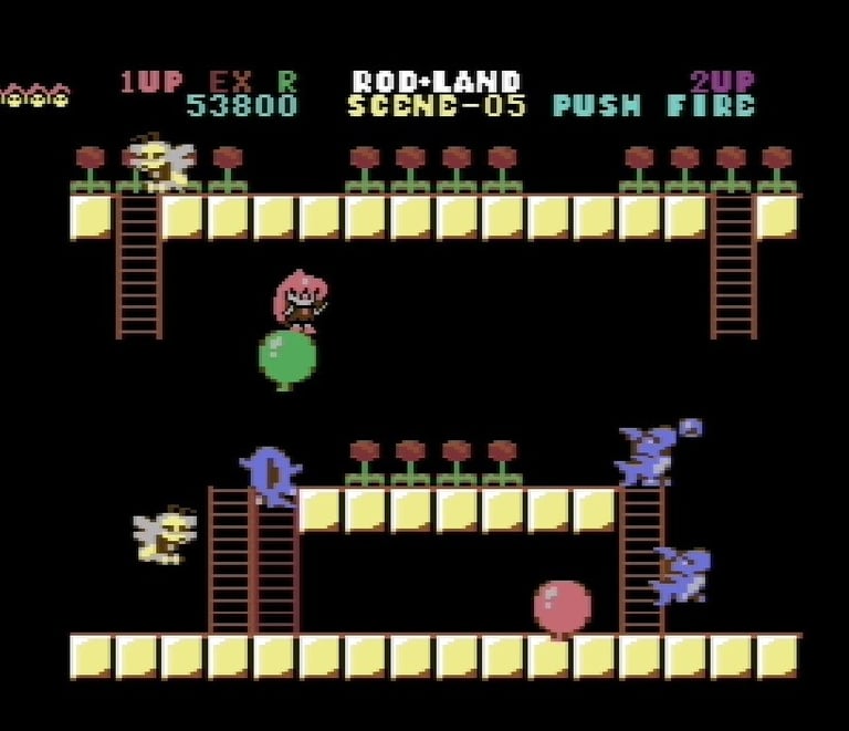 Commodore 64 Rodland Rit on Balloon