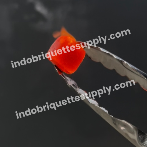 Burning Indonesia Coconut Charcoal Cube