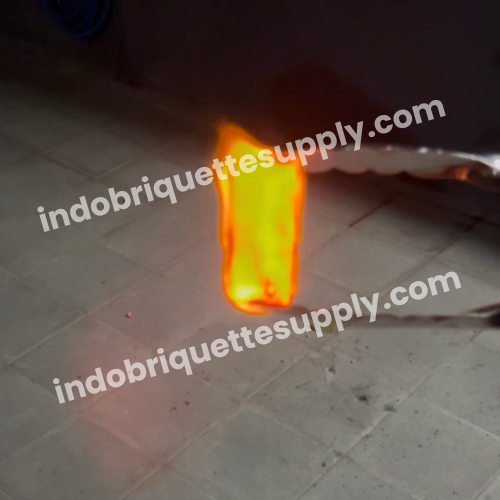 Burning Indonesia Coconut Charcoal Hexa Bright