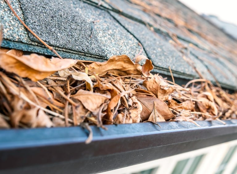 Elegant Restorations Gutter Cleaning