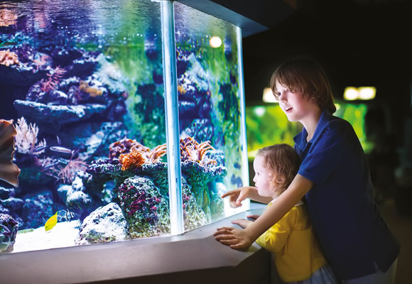 Acquario Oltremare Riccione, Parco provincia di Rimini