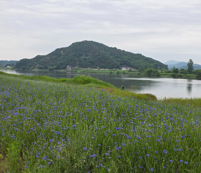 Baegmagang river view