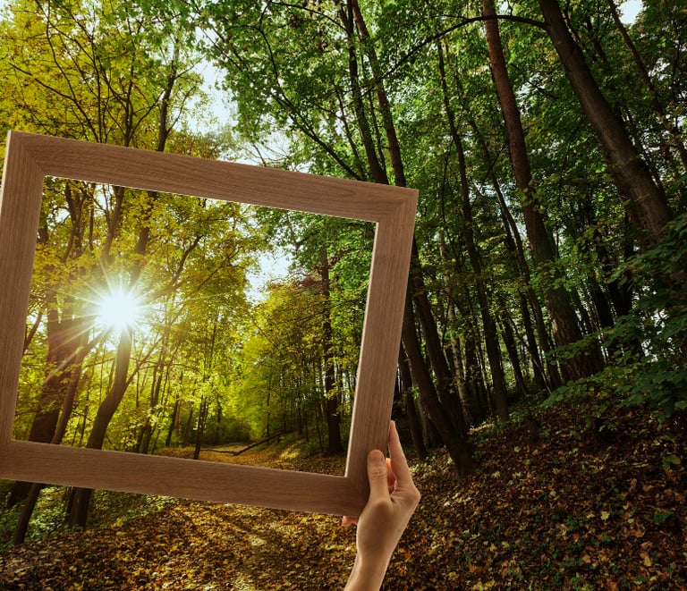 Holzrahmen im Wald mit Sonnenschein durch die Baeume im Havelland