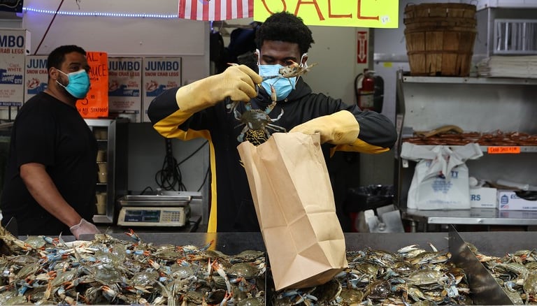 seamorny - vietnamese crab supplier