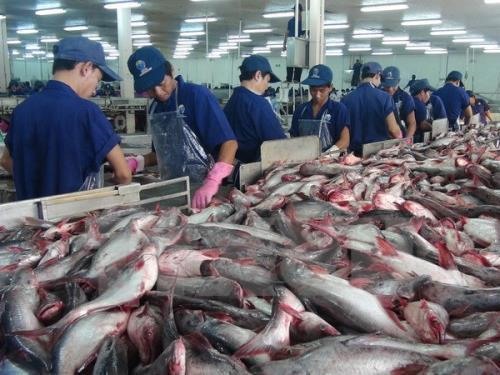 seamorny - vietnamese crab supplier