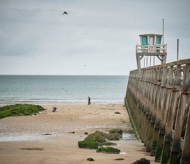 a person walking on a beach near a wooden pier